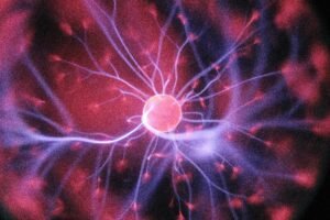 Life Without Death: A Dream or a Warning?